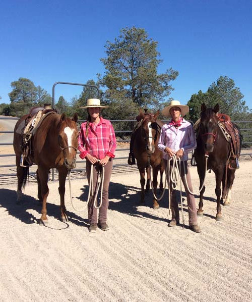 Horsemanship Clinics with Mantz Creek Horses