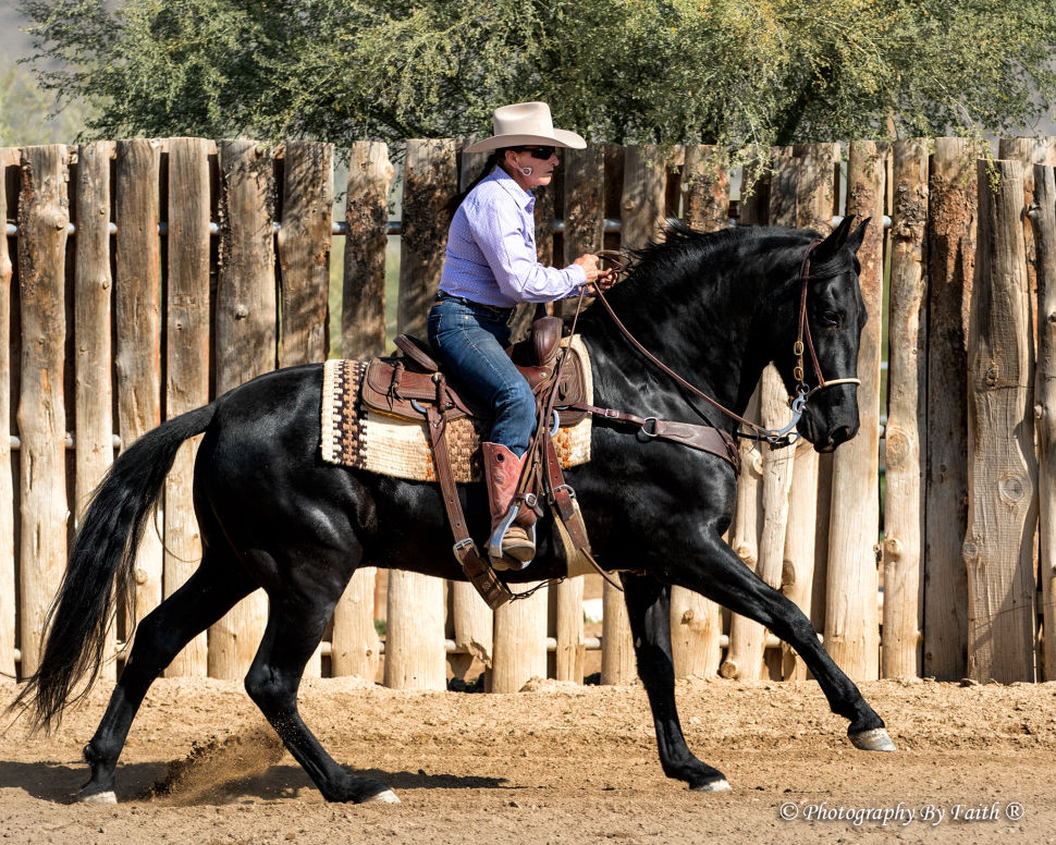Life experience in multiple riding disciplines
