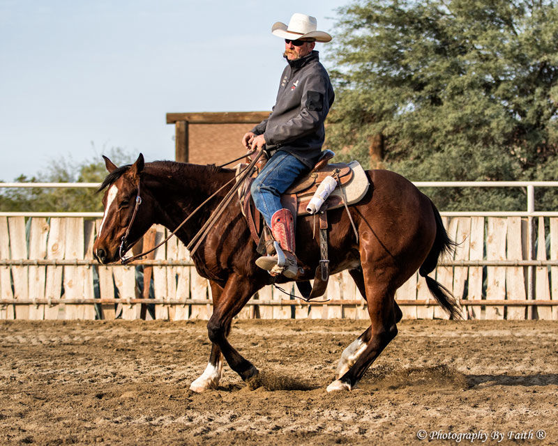 Horsemanship Training Services