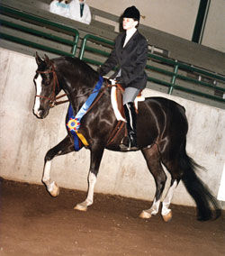 English Pleasure Riding
